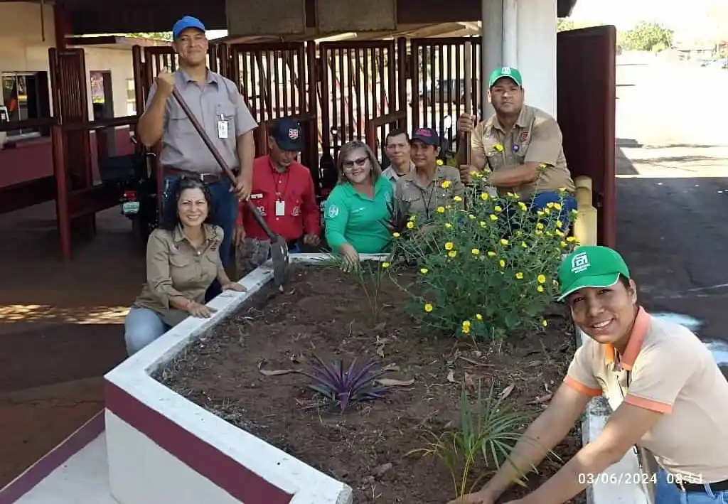 Foto de Gestión Ambiental 2025